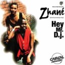 Zhané - Hey Mr Dj