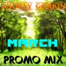DJ Andrey Gorkin - March Promo Mix 2016