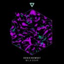Denis Newset - Misbehave (Original mix)