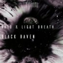Rato & Light Breath - Raven (Original mix)