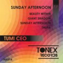Tumi Ceo - Giant Shadow (Original mix)