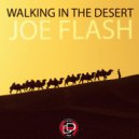 Joe Flash - Walking In The Desert