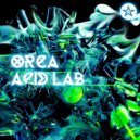 Orca - Acid Lab (Hub Graph & Nothing Personal Remix)