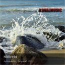 Niblewild - Achievable