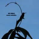 Sit-Hole - Sweet Melodies (Traditional Mix)