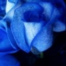 DNTST ft Romeo & Juliet - Good Night