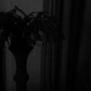 HVRXLD - fovea