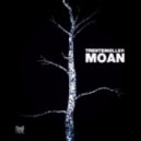 Trentemoller - Moan