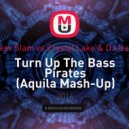 Alexx Slam vs.Crystal Lake & DJ Isaac - Turn Up The Bass Pirates (Aquila Mash-Up)