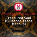 Gregor Salto & Micheal Calfan - Treasured Soul (Giuseppe Arena Mashup)