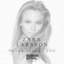 Zara Larsson & MNEK - Never Forget You