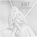 BNT - Grasshopper