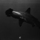 Goldy47 - I Survived