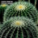Gourski - Springtime