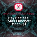 Avicii x Dima House x Viduta - Hey Brother