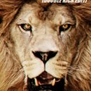 Martin Garrix - Lions In The Wild