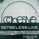 Senseless Live - Sunrise Pilgrum (David Granha Sunset Remix)