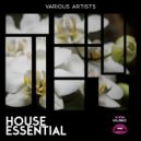 Csanes - Flute (Original Mix)
