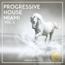 Dj Maksim Metelyov - Explosion (Original Mix)