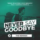 Soul Player & Gui Brazil & Vanessa Correia - Never Say Goodbye (feat. Vanessa Correia) (Bianchin Remix)