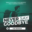 Soul Player & Gui Brazil & Vanessa Correia - Never Say Goodbye