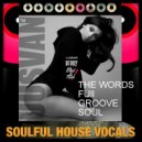 UUSVAN™ - The Words Full Groove Soul # 2k16 ()