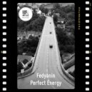 Fedyanin - Perfect Energy