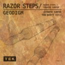 GeoDigm - Razor Steps