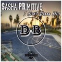 Sasha PRimitive - I Don't Wanna Miss