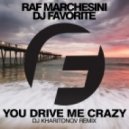 Raf Marchesini & DJ Favorite - You Drive Me Crazy