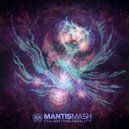 MantisMash - Desert Dub