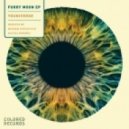 Youniverse - Furry Moon (Mattia Pompeo Remix)