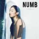 Danelle - Numb