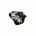 Mauro Picotto - Iguana