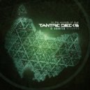 Tantric Decks - Disco Robots With Silly String