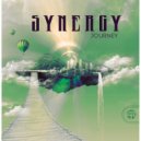 Synergy - The Plains