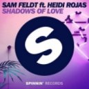 Sam Feldt ft. Heidi Rojas - Shadows of love