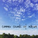 kenny rouge - summer sounds of nature