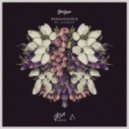 Steve James - Renaissance (Gill Chang Remix)