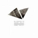 Blindsmyth - Wacklige Bruecken (Paul David Heckhausen Remix)