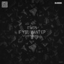 Itwo5 - If You Want (Kip5 Remix)