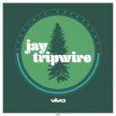 Jay Tripwire - She Aint Talkin