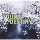Touris & DESTINY - Sakura (Original mix)