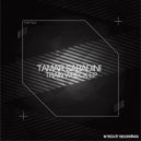 Tamar Sabadini - Last Day (Original Mix)