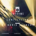 THE DOME COMPILATION Vol.1 - Mixed By Dj Boris D1AMOND ()