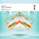 ZAIO - Say Sorry (Original Mix)