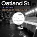 Dr. Shemp - Chicago Underground
