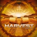 Hashashin - Magnetic Sphere (Original Mix)