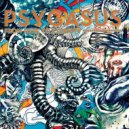 Psygasus - Cosmic Chaos