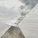 Salt Sea - The Sign Is (Original Mix)